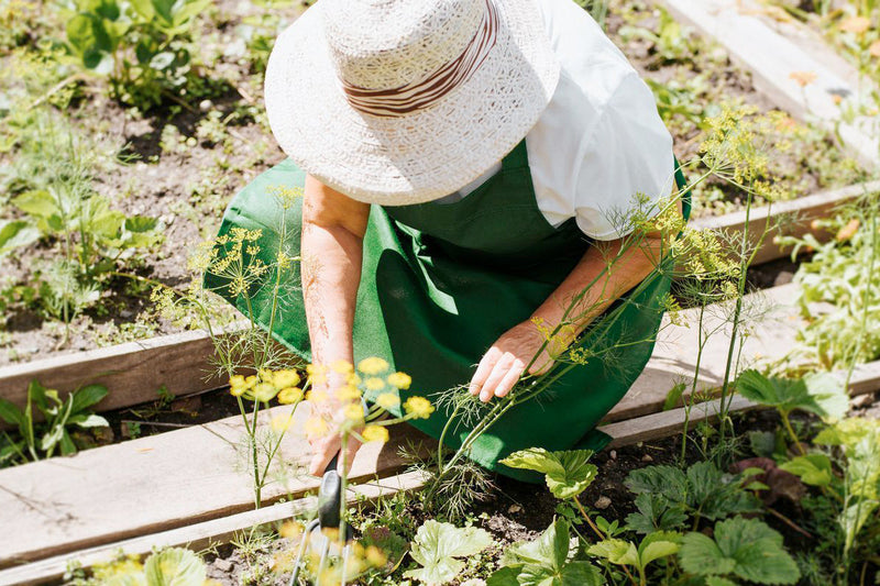 The Right Gardening Hat