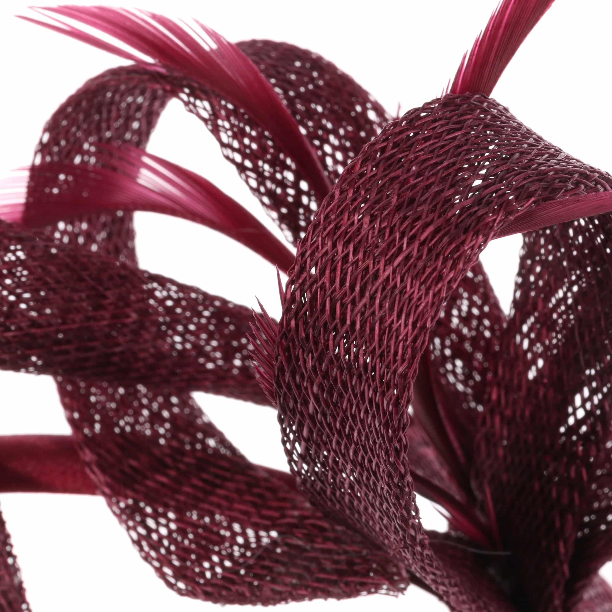 raspberry