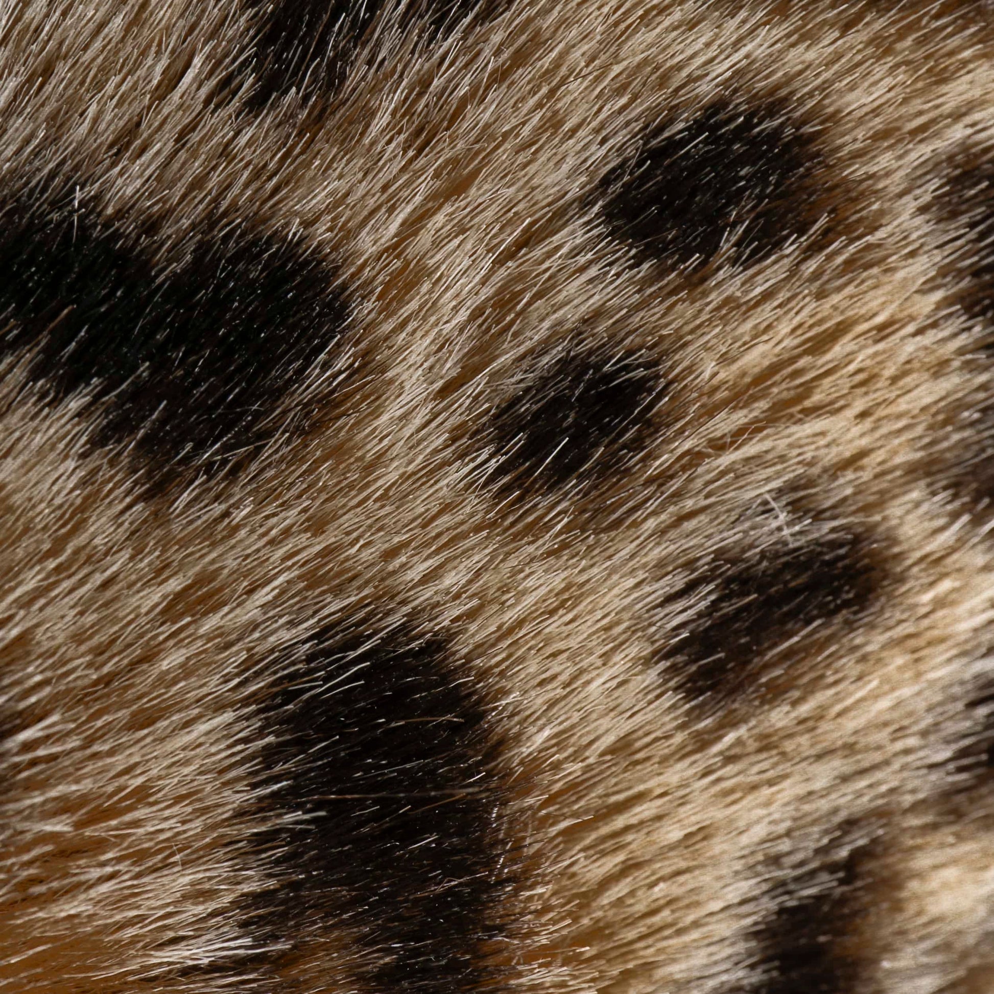 brown-black