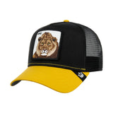 black-yellow