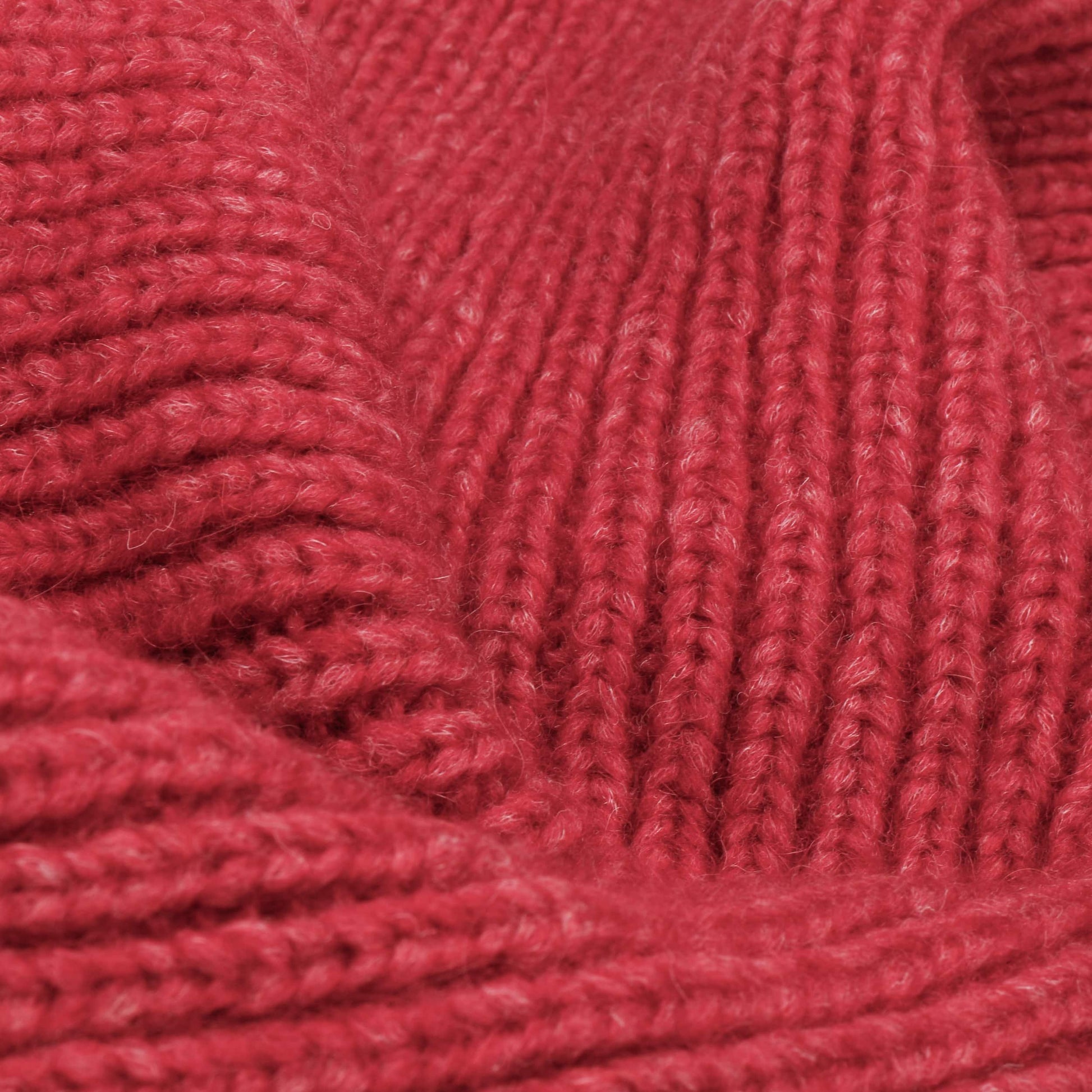 raspberry