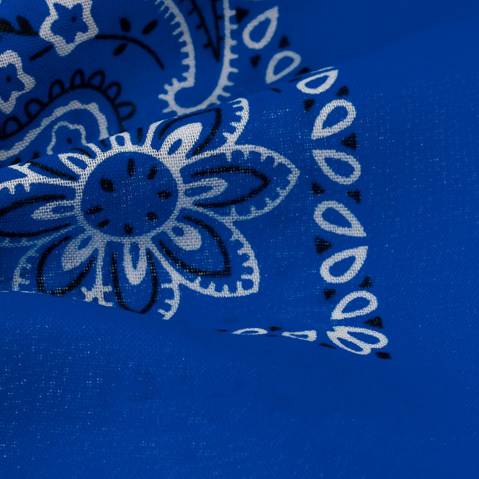 royal-blue